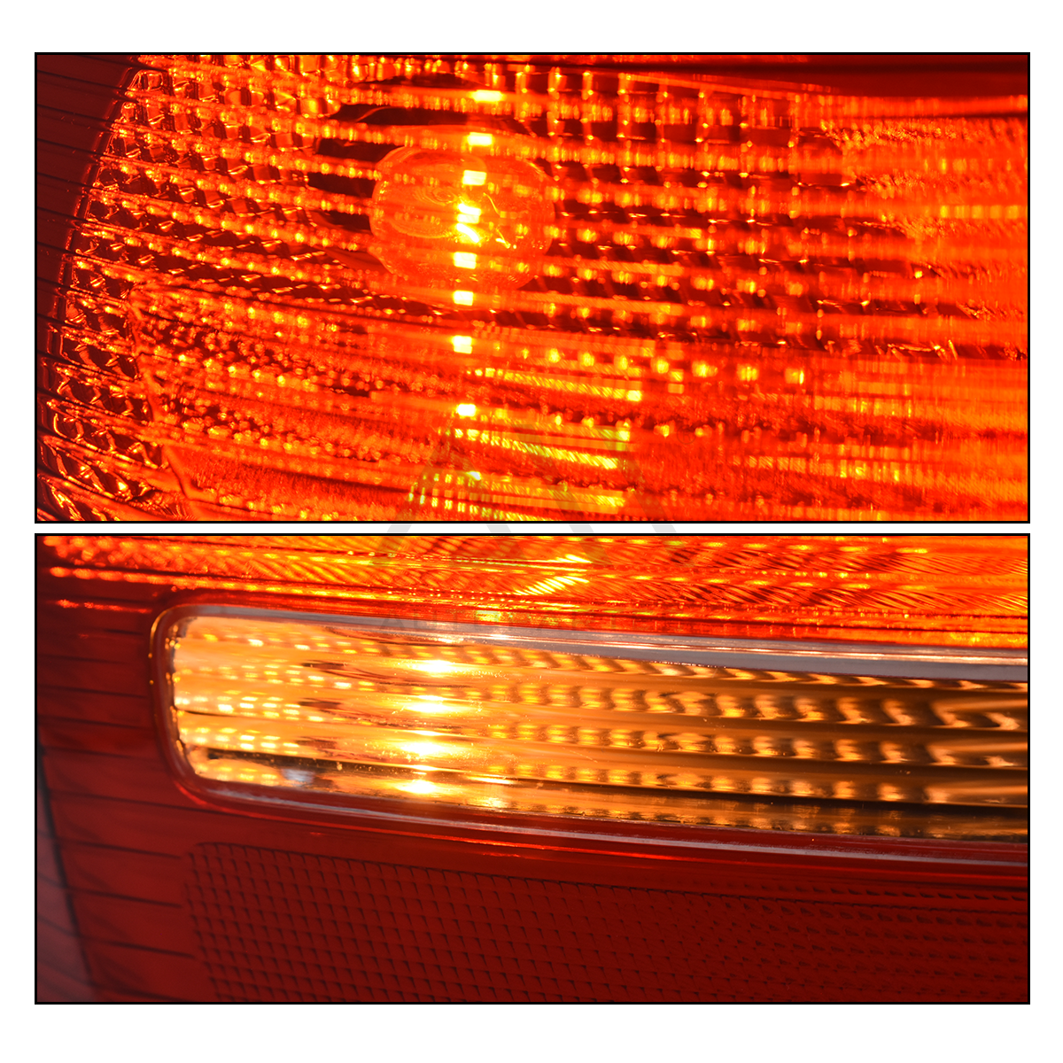 Calavera Focus 15-16 c/arnes exterior derecha